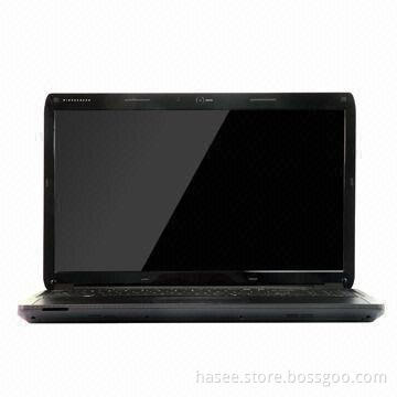 15.6-inch Laptop with Nvidia GT555, 2GB DDR3 and VGA Card